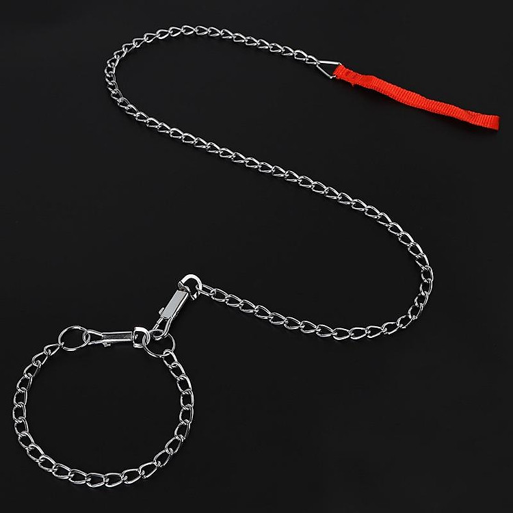 Dây dắt inox kèm vòng cổ cho chó mèo đủ size