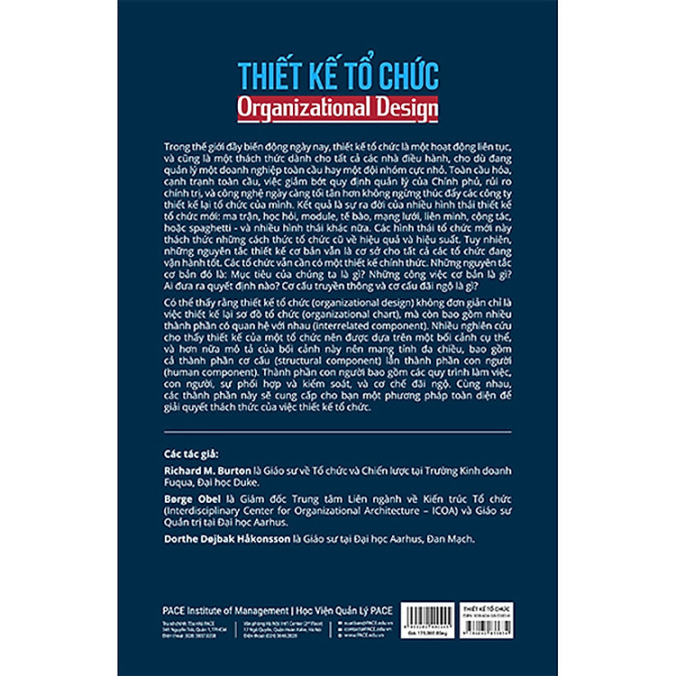 Thiết Kế Tổ Chức (Organizational Design) - Ảnh 2