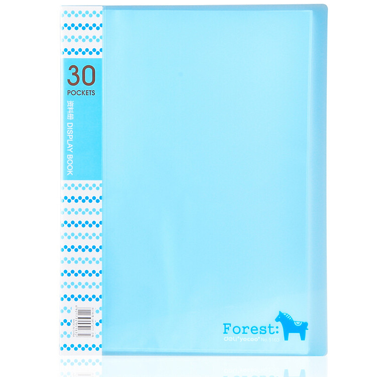 File lá Deli 5163 (30 lá) A4