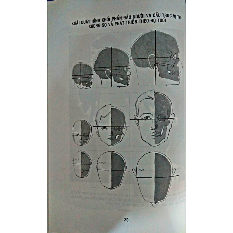 Phương Pháp Vẽ Hình Họa Toàn Thân - Ảnh 5