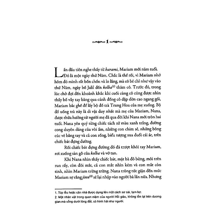Ngàn Mặt Trời Rực Rỡ - Ảnh 3