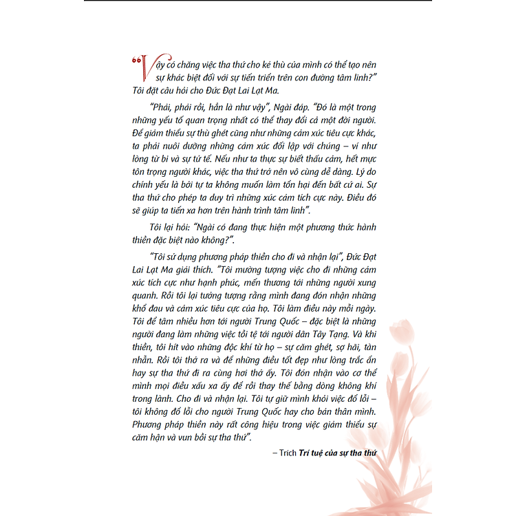 Trí Tuệ Của Sự Tha Thứ - The Wisdom Of Forgiveness - Ảnh 5