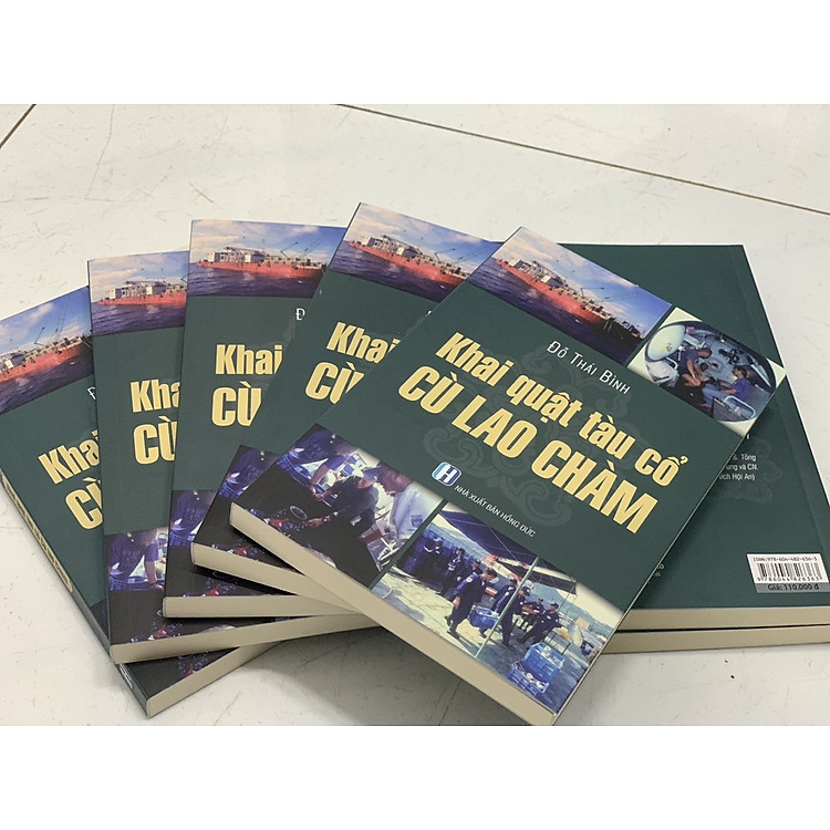 Khai Quật Tàu Cổ Cù Lao Chàm - Ảnh 2