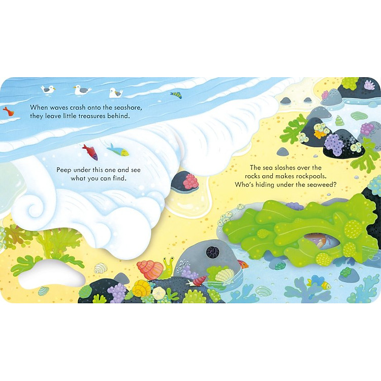 Tương Tác Thiếu Nhi Tiếng Anh: Peep Inside The Seashore - Ảnh 4