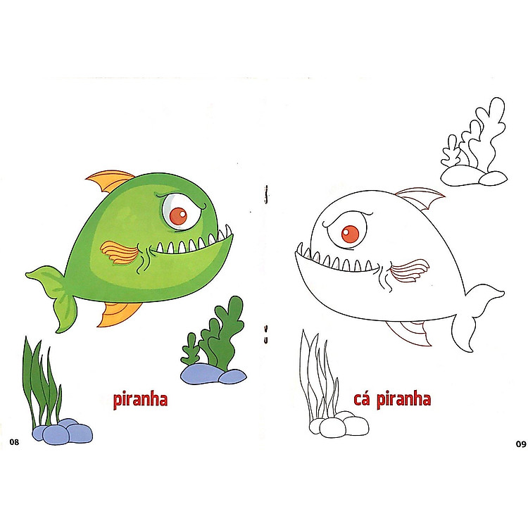 Tô Màu Động Vật Dưới Nước Tập 6 (Song Ngữ Anh Việt) - Ảnh 4