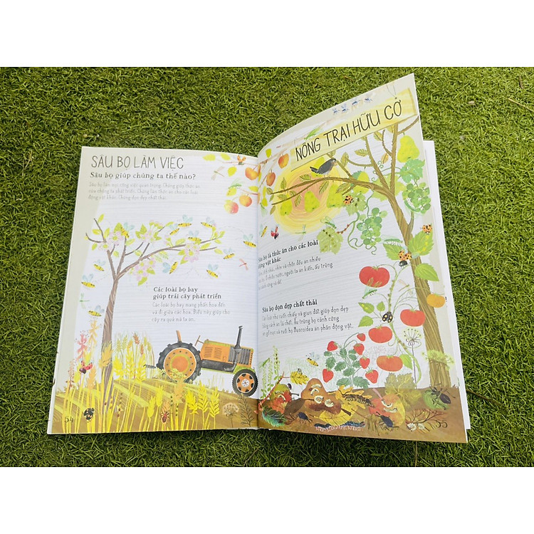 Bộ A Lê Hấp! - Ảnh 6