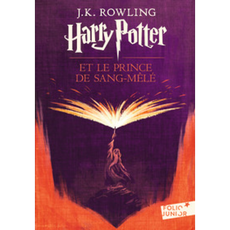 Tiểu thuyết thiếu niên tiếng Pháp: Harry Potter Et Le Prince De Sang Mele (Tome 6)