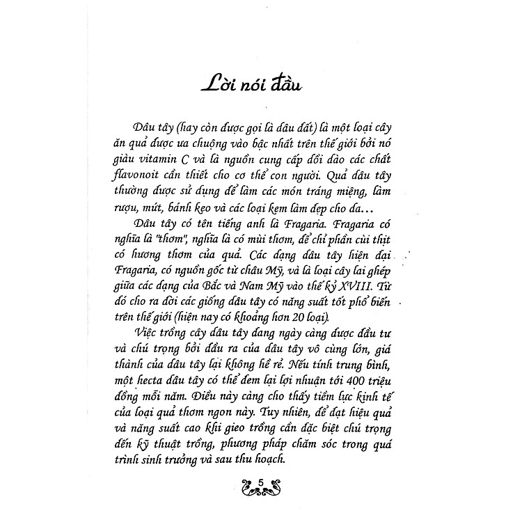 Kỹ Thuật Trồng Dâu Tây - Ảnh 3