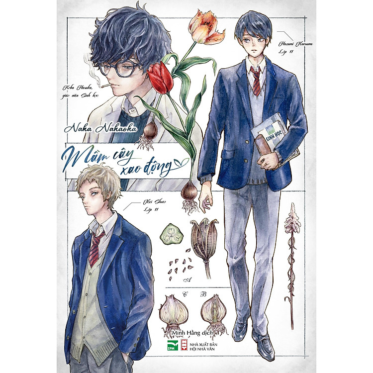 Boxset Tulip x Mimosa - Mầm Cây Xao Động + Cây Lá Mùa Xuân - Ảnh 3