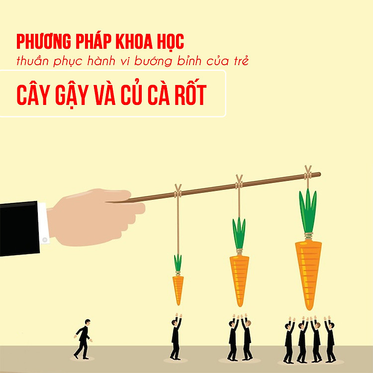 Khóa Học Cây Gậy Và Củ Cà Rốt - Phương Pháp Khoa Học Độc Quyền Thuần Phục Hành Vi Bướng Bỉnh Của Trẻ