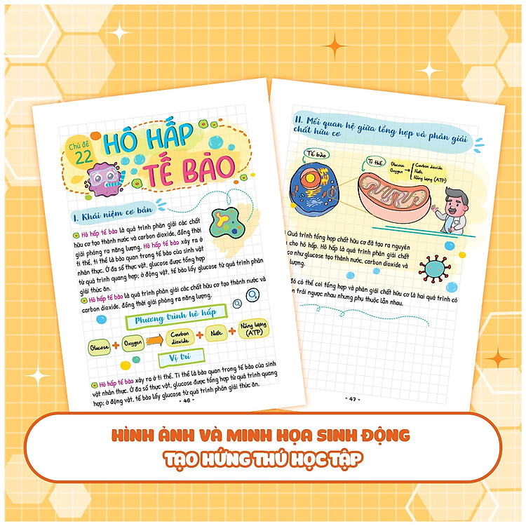 Takenote Khoa Học Tự Nhiên Lý - Hóa - Sinh Lớp 7 - Ảnh 5