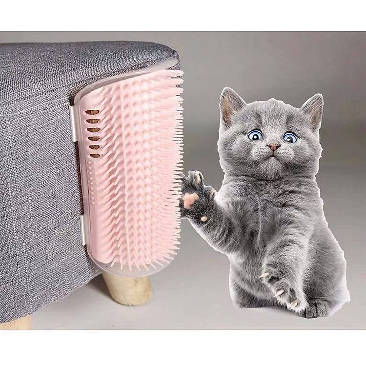 BÀN CHẢI GÃI NGỨA CHO MÈO - Giao màu ngẫu nhiên (Tặng gói catnip và cây bạc hà)