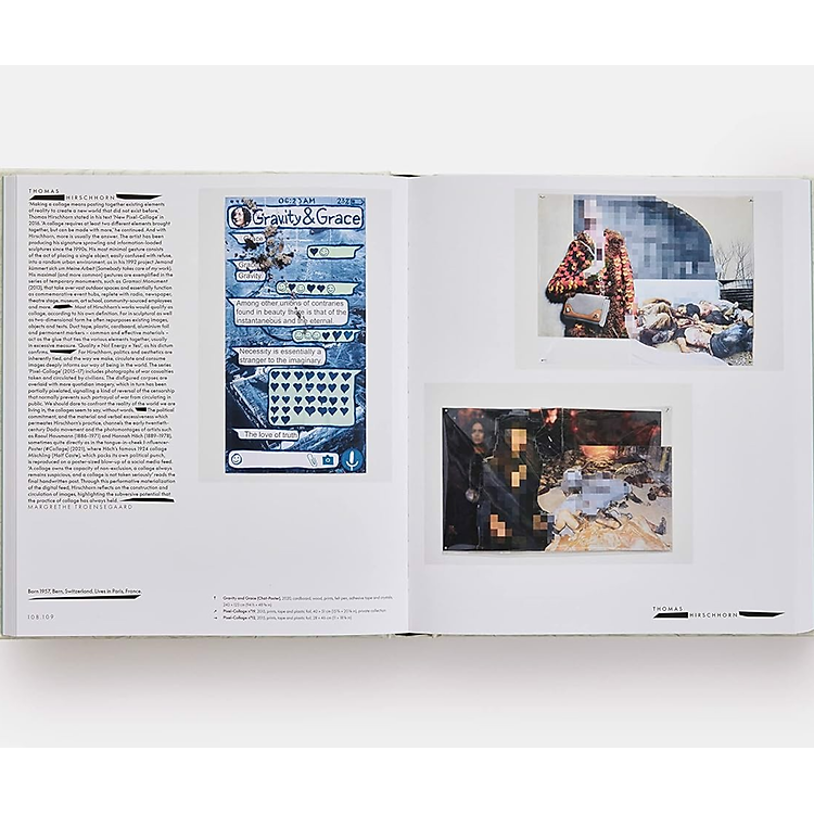 Vitamin C+: Collage in Contemporary Art - Ảnh 4