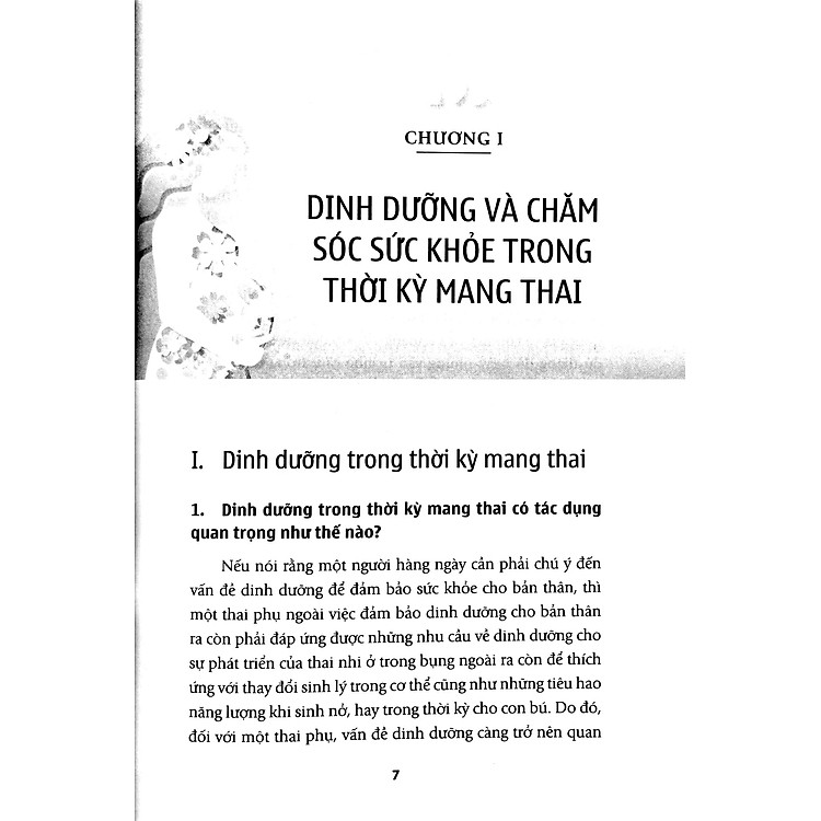 Cẩm Nang Chăm Sóc Sức Khỏe Sinh Sản Cho Các Mẹ Bầu - Ảnh 2
