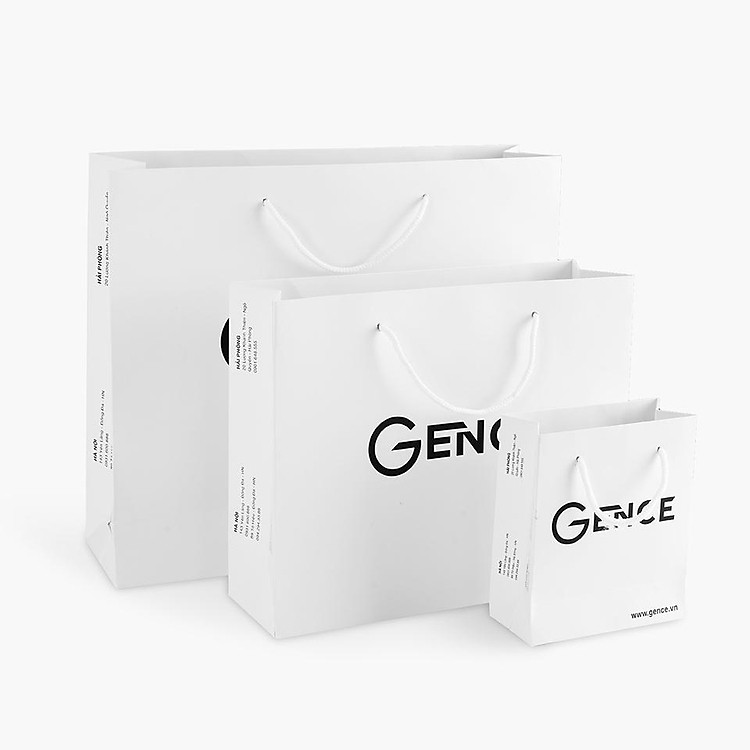 Túi Giấy Đựng Quà Tặng Size Lớn GENCE TG03 - Ảnh 3