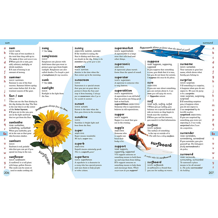 First Children's Dictionary: A First Reference Book For Children - Ảnh 6