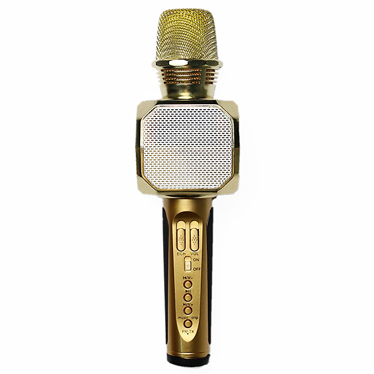 Mic Hát Karaoke Không Dây Gia Đình Có Loa Bluetooth Nghe Nhạc