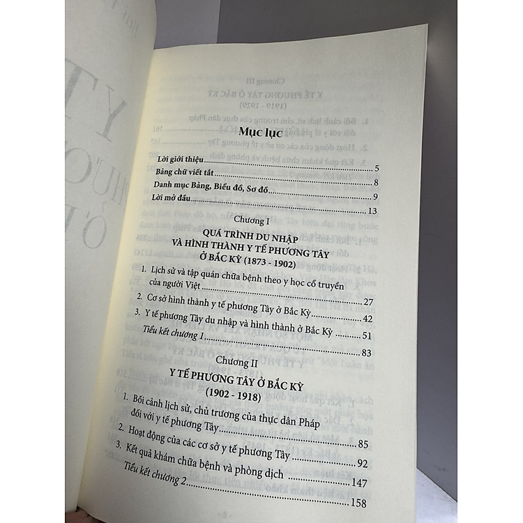 Y TẾ PHƯƠNG TÂY Ở BẮC KỲ (1873-1945) - Bùi Thị Hà - Ảnh 3