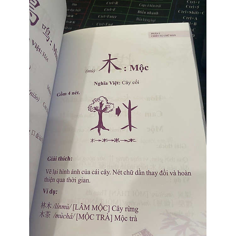 Nhớ Hán Tự Thông Qua Chiết Tự Chữ Hán + DVD Tài Liệu - Ảnh 5