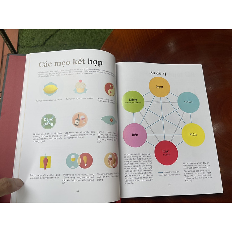 WINE FOLLY Toàn Tập (Phiên bản Magnum) - Ảnh 4