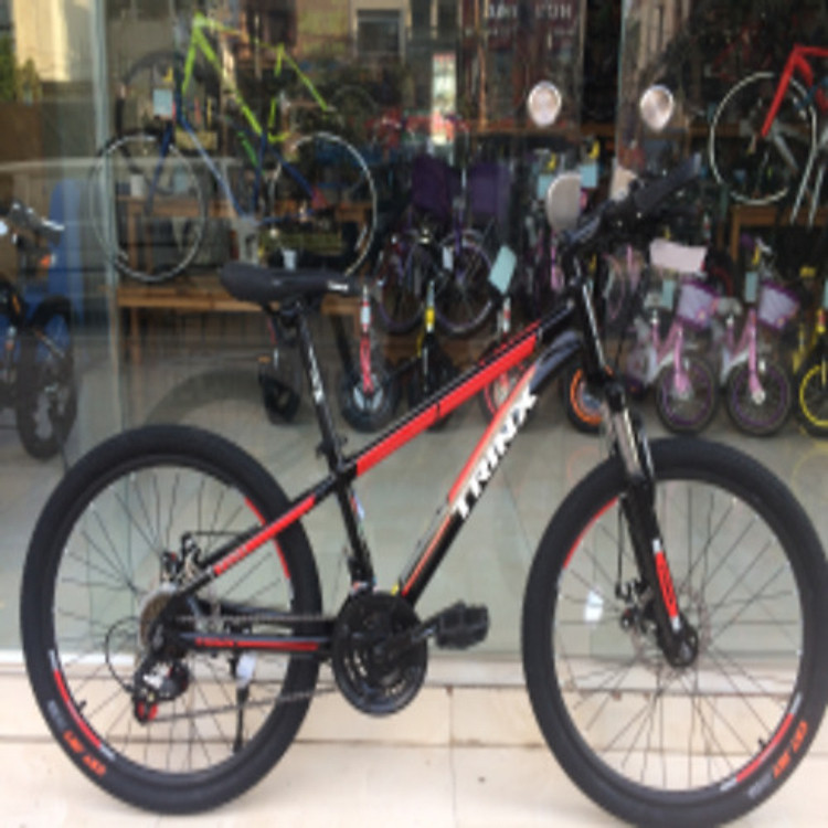 Xe đạp địa hình TrinX TX14 2019