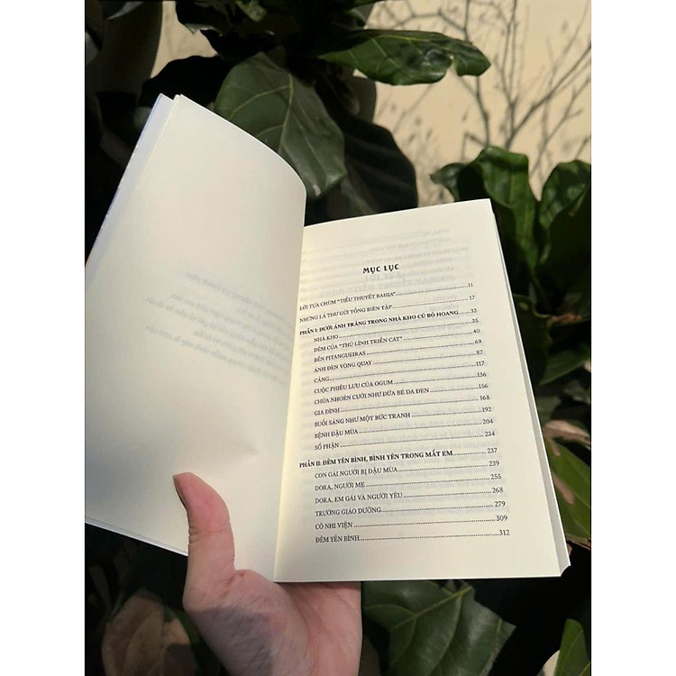 Những Thủ Lĩnh Triền Cát - Ảnh 4