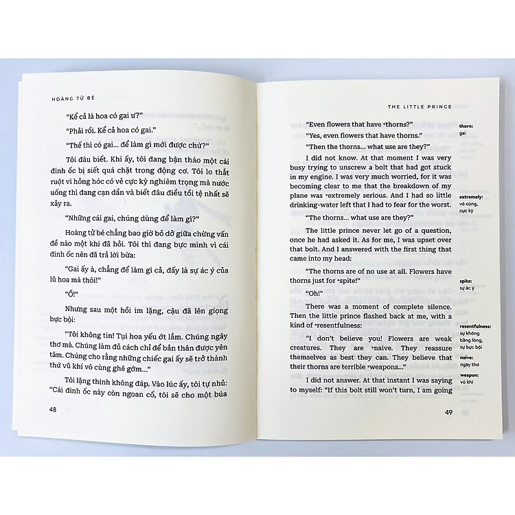 Hoàng Tử Bé - The Little Prince (kèm file nghe + note từ mới) - Ảnh 3