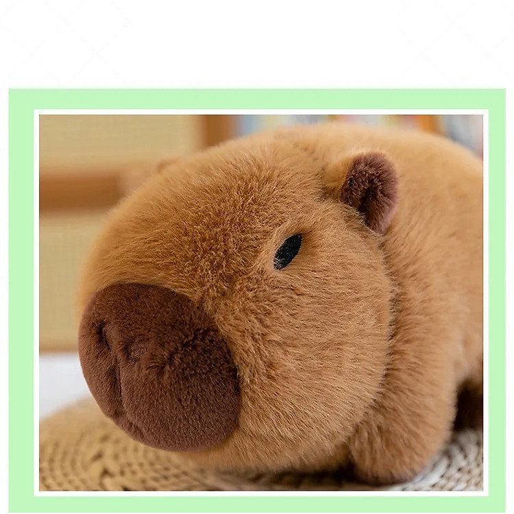 Thú nhồi bông capybara đáng yêu - 35cm Chính hãng Giá rẻ - Hình ảnh 5