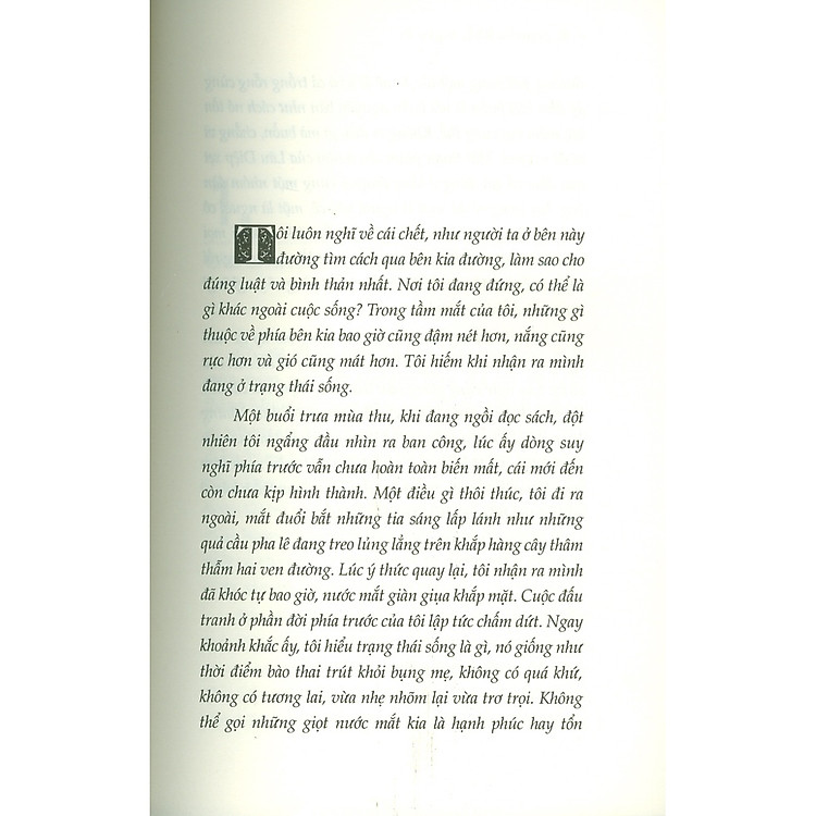 Vạn Sắc Hư Vô - Ảnh 4