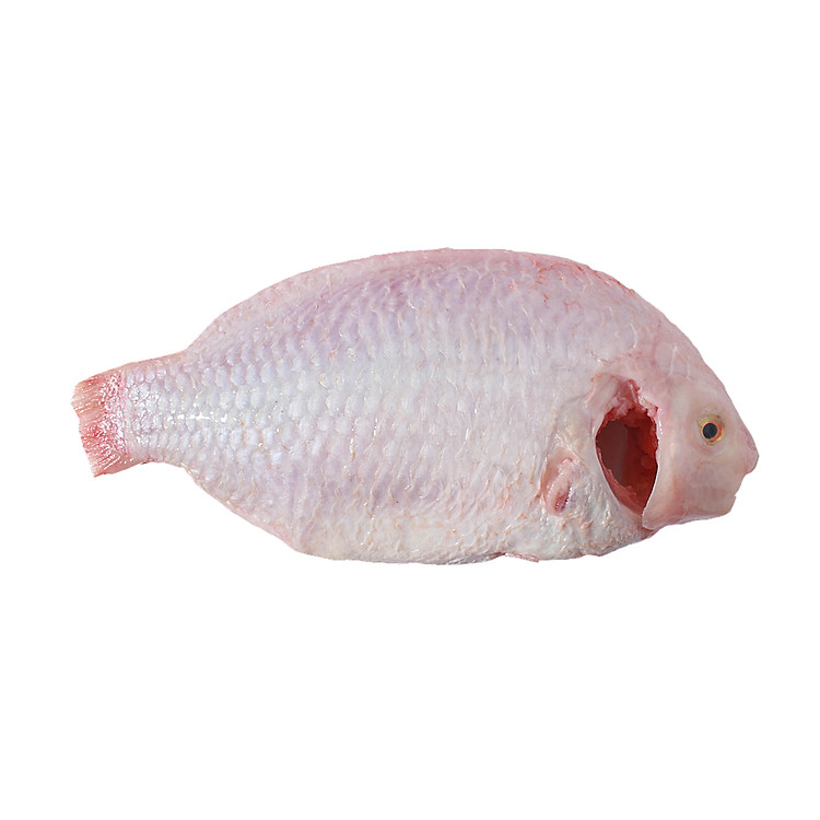 Cá Diêu Hồng Tươi Sống (con khoản 800gr) - Nhập tươi mỗi ngày