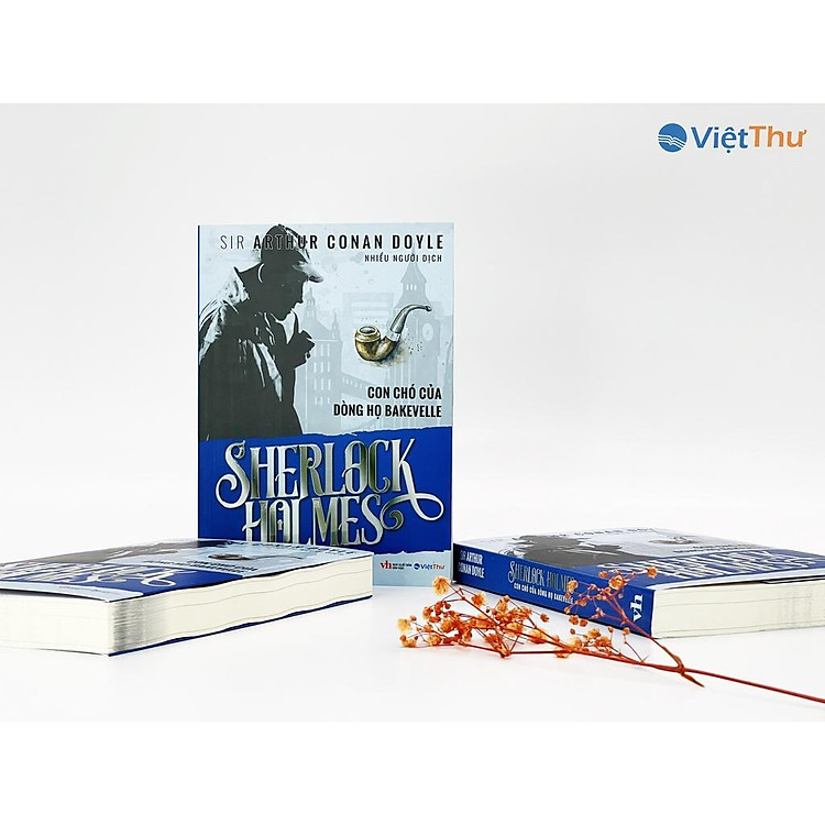 Sherlock Holmes - Con Chó Của Dòng Họ Bakjevelle - Ảnh 6