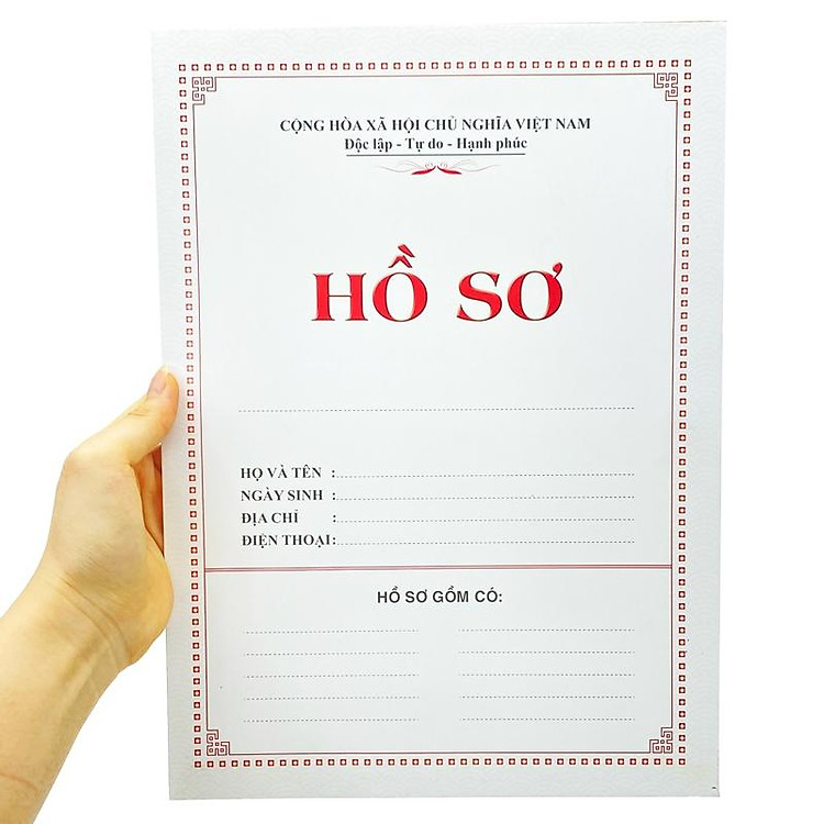 Hồ Sơ Cao Cấp (02) - Ảnh 6