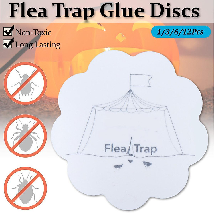 Mua 1 Pcs Flea Trap Pumpkin Sticky Refill NonToxic Glue Discs Safe