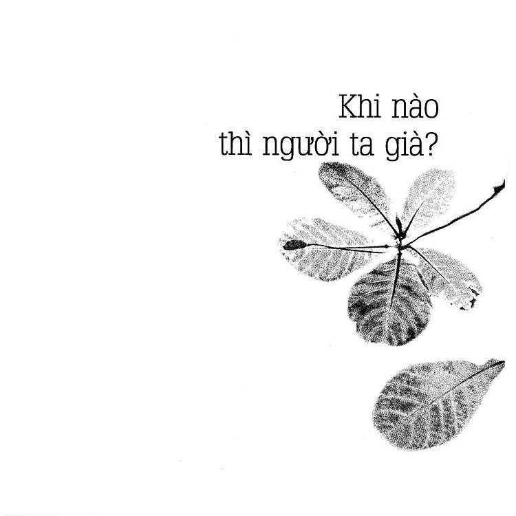 Già Ơi... Chào Bạn! - Ảnh 6