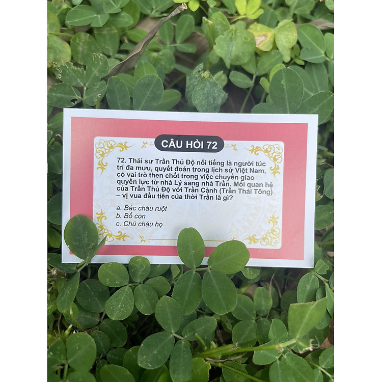 Cờ Lịch Sử - Ảnh 5