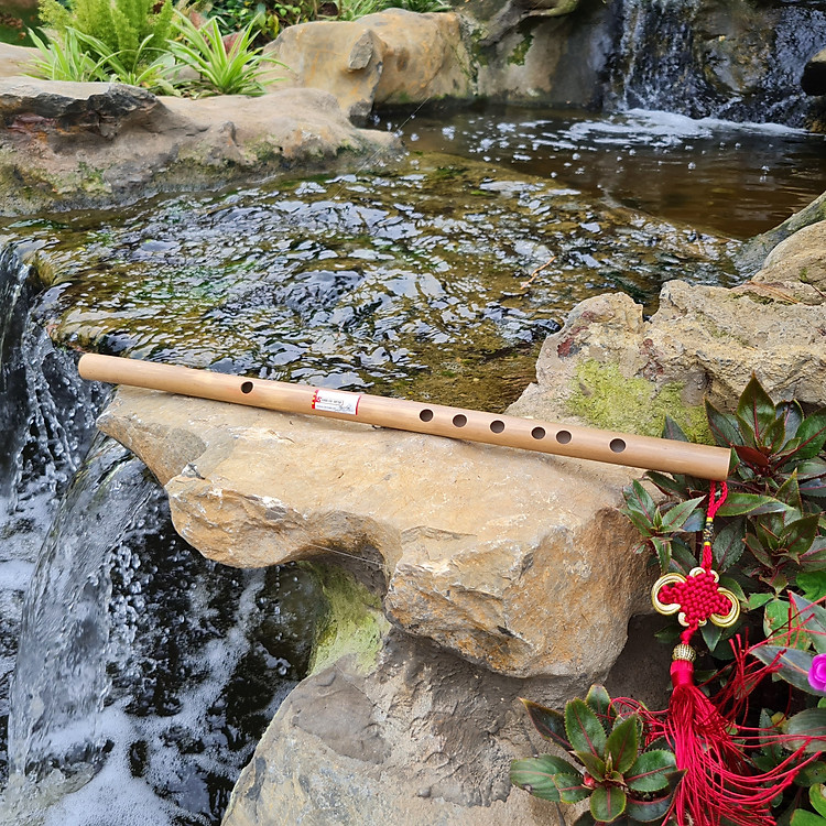 Sáo Trúc (Sáo Ngang) VS3 Tone Đô (C5) Nứa Bắc - Sáo Trúc Bùi Gia