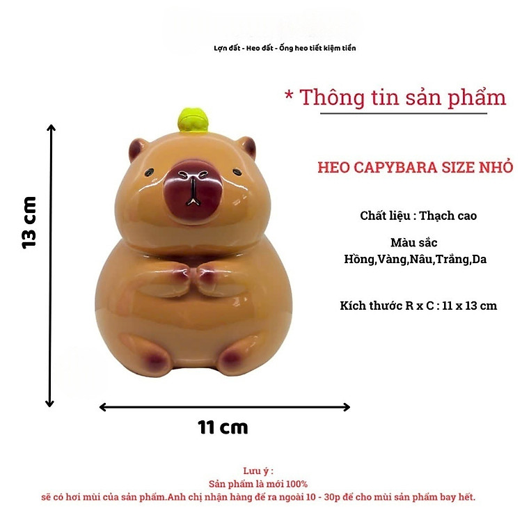 Mua Ống Tiết Kiệm Gấu bông Capybara Chính hãng Ưu đãi - Hình ảnh 5