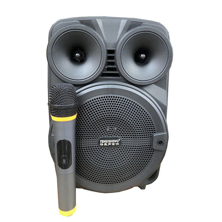 Loa kẹo kéo karaoke bluetooth Temeisheng A8-10 - Hàng nhập khẩu