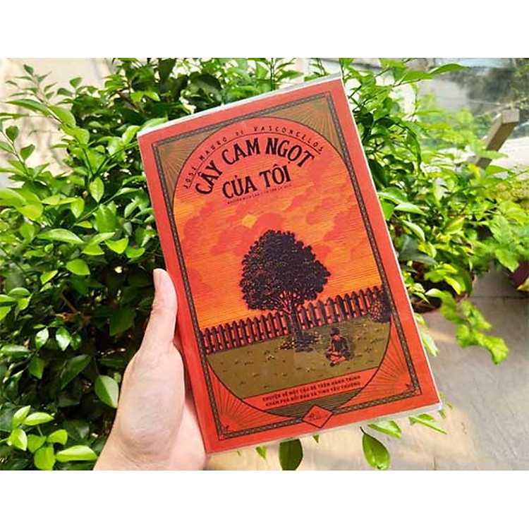 Nhà Giả Kim + Cây Cam Ngọt Của Tôi - Ảnh 3