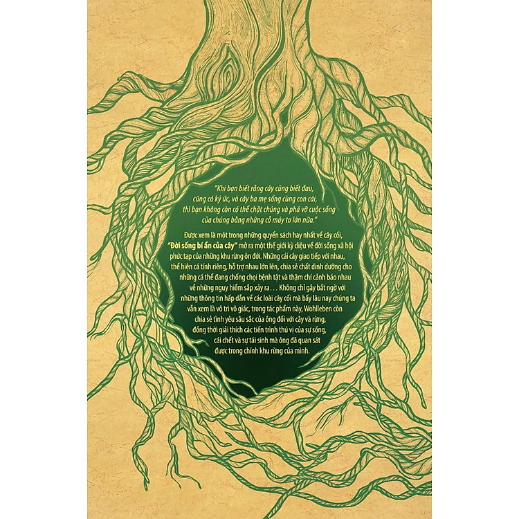 Đời Sống Bí Ẩn Của Cây (Tái Bản) - Ảnh 2
