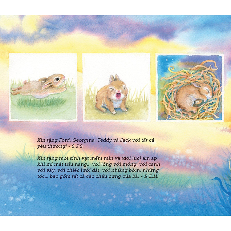 Ngủ Ấm Ngủ Êm - Đêm Nay Loài Vật Ngủ Nơi Nào? - Ảnh 5