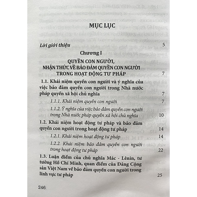 Bảo Đảm Quyền Con Người Trong Hoạt Động Tư Pháp - Ảnh 2