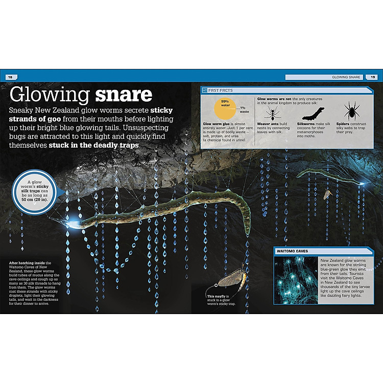 The Science Of Goo! - Ảnh 5