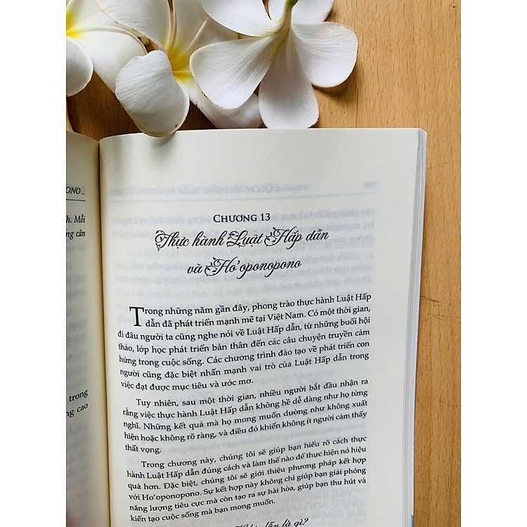 LÀM CHỦ PHƯƠNG PHÁP HO'OPONOPONO TRONG TRỊ LIỆU & CHỮA LÀNH - Ảnh 3