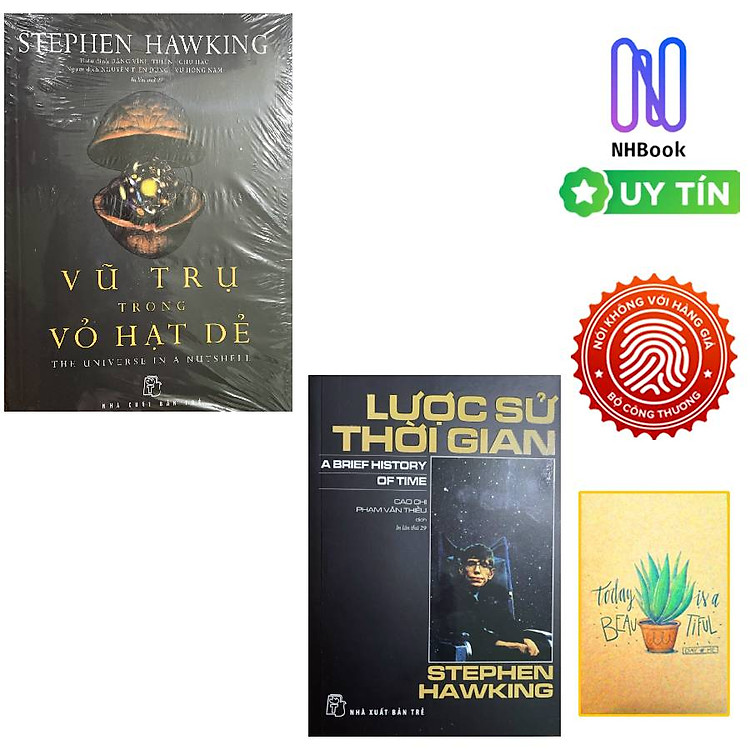 Lược Sử Thời Gian và Vũ Trụ Trong Vỏ Hạt Dẻ - Ảnh 4