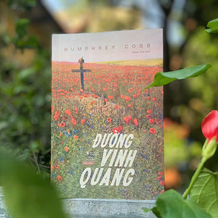 Đường Vinh Quang - Ảnh 2