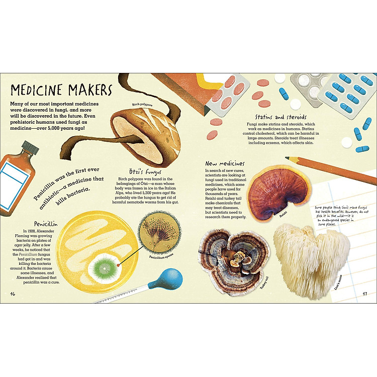 Humongous Fungus - Ảnh 6