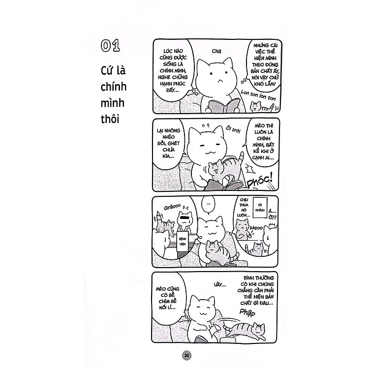 Những Bài Học Cuộc Sống Từ Đám Mèo Nhà Tôi - Ảnh 3