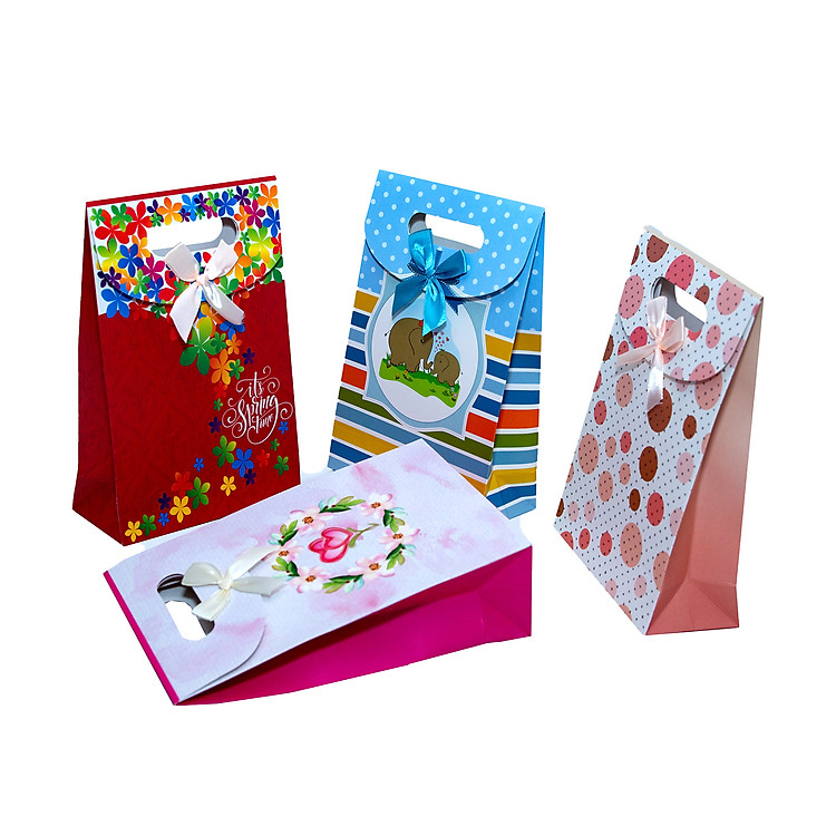 Túi Giấy Nắp Trung T005 (26.5 x 17.5 x 8 cm)