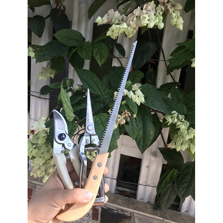 (Tiết Kiệm ) SET Bộ 3 Dụng Cụ Cắt Tỉa Cây Cảnh, Bonsai Hàng Nhật Bản